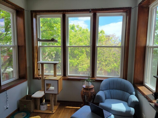 Foto del edificio - 816 N Leavitt St