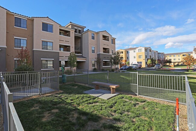 Parque para perros - CHANDLER APARTMENT HOMES