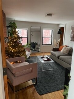 Living room - 199 Bedford Ave
