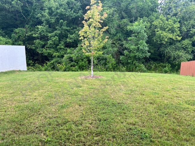 Building Photo - AVAILABLE ON November 7th! - OOLTEWAH, TN