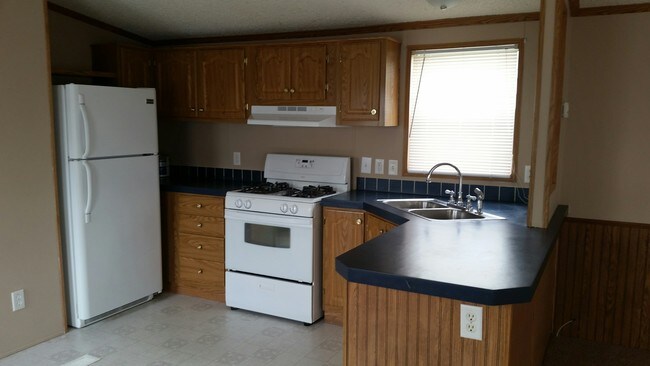 Building Photo - 703 Freedom Ct