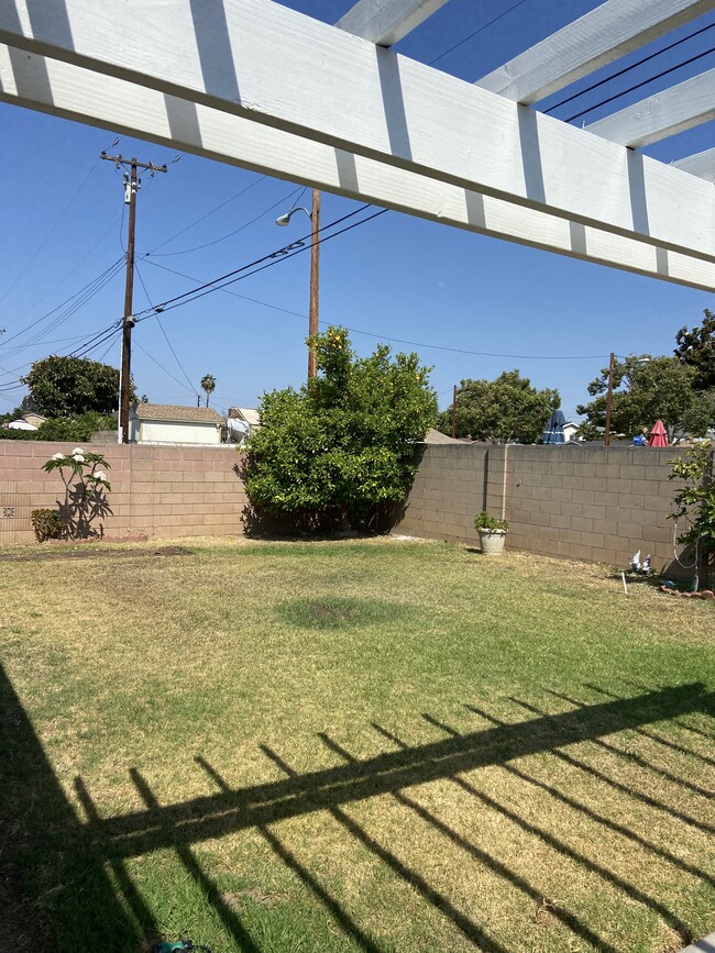 Backyard - 1004 Bunbury Dr