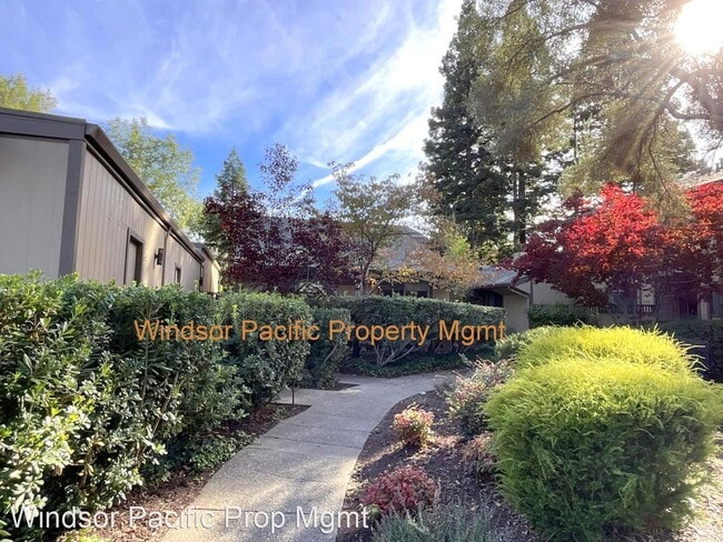 Foto del edificio - 2 br, 2 bath House - 130 Alamo Square Drive