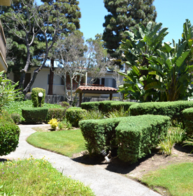 Building Photo - Woodcrest Apartments