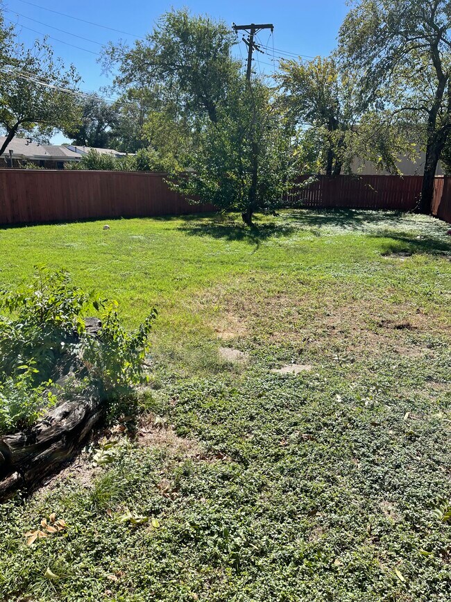 Backyard - 1601 Plymouth Dr N