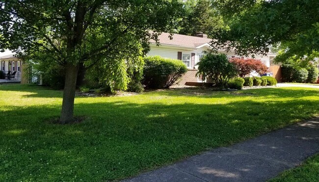 Building Photo - 1345 Canonero Dr