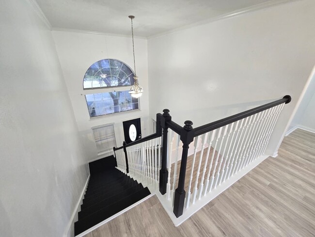 Foto del edificio - 6007 Bassetdale Ln