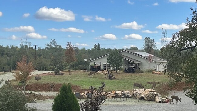 Foto del edificio - Breathtaking Views – Brand New 2 Bed, 1.5 Bath Home for Rent!  Available Nov 1st | Mt. Bally | Mt...