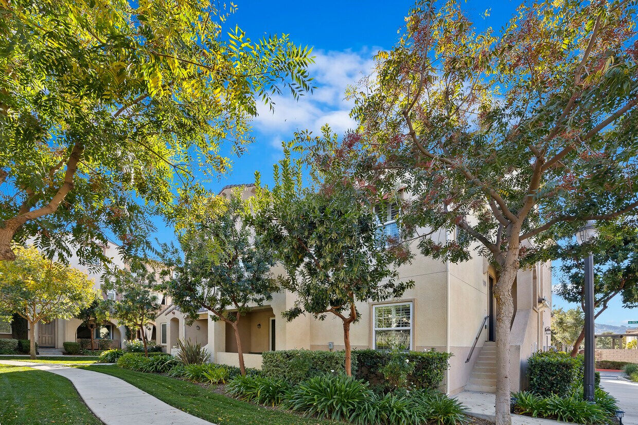 Primary Photo - 31205 Strawberry Tree Ln