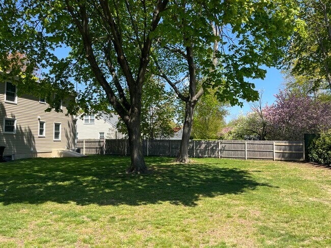 Building Photo - 427 Westford Dr