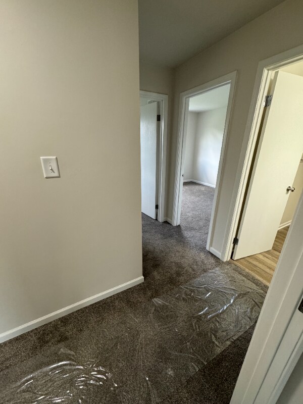 Foto del edificio - 137 Edward St