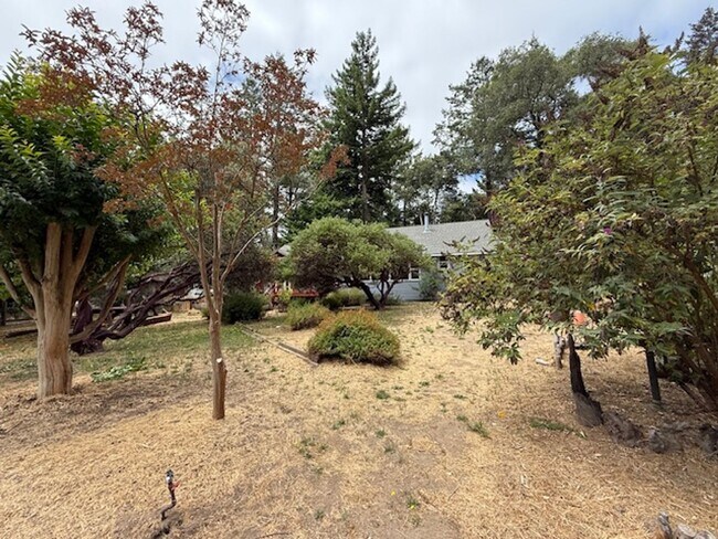 Building Photo - Welcome Home to Karas Lane. In the Country...