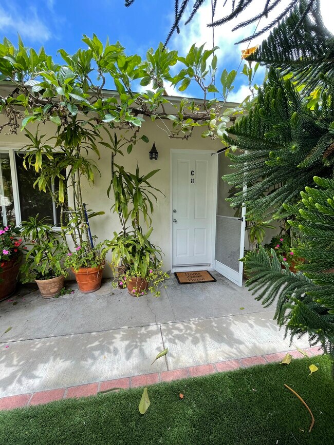 Outside latio - 825 15th St