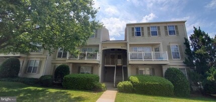 Building Photo - 8202 Catbird Cir