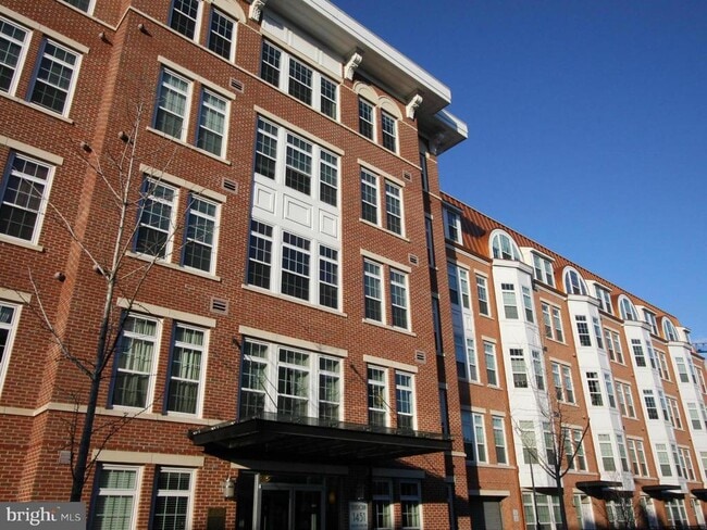 Building Photo - 1451 Belmont St NW