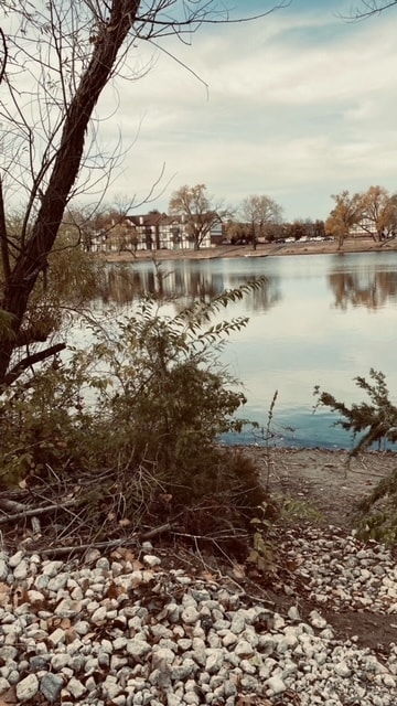 Building Photo - Magnolia Lake Apartments