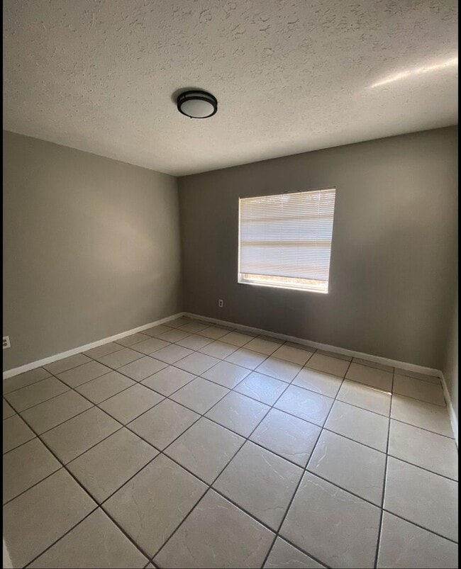 Building Photo - RENOVATED 2 Bedroom, 1 Bathroom Tampa Apar...