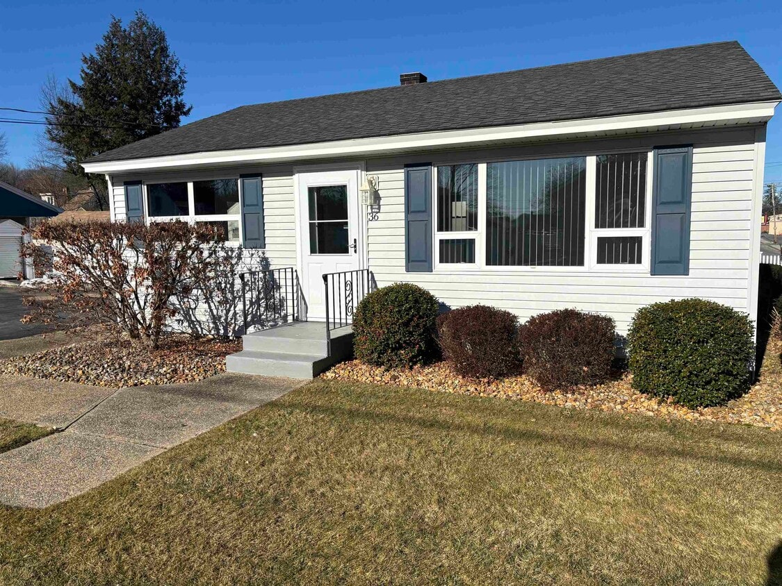 Primary Photo - 36 Larch St