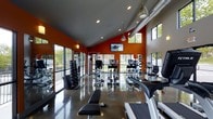This single-floor fitness center is designed to inspire and energize, combining functional layout with striking contemporary aesthetics. The space is immediately defined by its soaring vaulted ceilings, which create an expansive, open atmosphere that enhances comfort during workouts. Bold orange accent walls contrast with a cool gray ceiling, giving the room a vibrant, motivating character. Exposed ductwork and pendant lighting add an industrial-modern touch overhead, while recessed lighting ensures the space is thoroughly illuminated throughout. Large windows line multiple walls, flooding the interior with natural light and offering views of the surrounding greenery, creating an inviting and refreshing environment. The polished concrete flooring is both durable and visually sleek, reflecting the light and contributing to the overall sense of spaciousness. Equipment is thoughtfully arranged to maximize usability, featuring a comprehensive selection of cardio machines including treadmills, ellipticals, and stationary bikes, as well as a dumbbell rack with a full weight range. Wall-mounted mirrors along one side expand the sense of space and support proper form during strength training. A mounted flat-screen television provides entertainment, making this fitness center as engaging as it is functional.