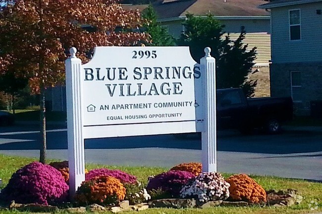 Building Photo - Blue Springs Village Apartments