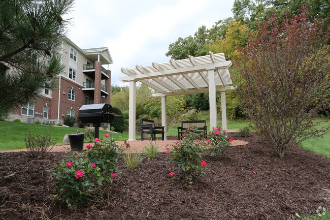 Área de parrilla de carbón - Lesilve