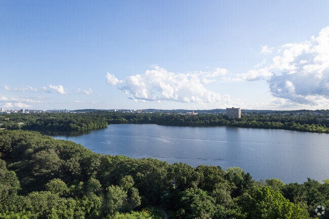 Cambridge Highlands' Fresh Pond is a haven for birds and nature enthusiasts.