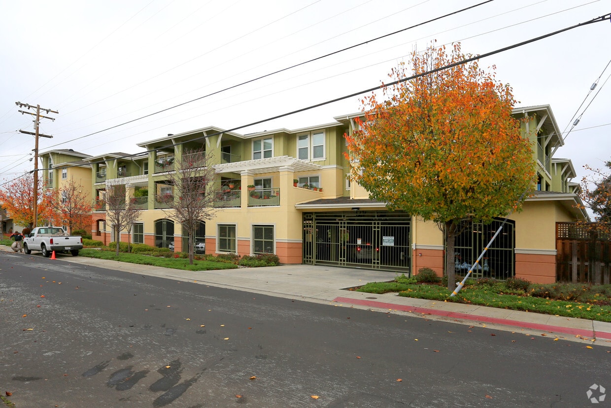 Building Photo - San Mateo Rotary Floritas