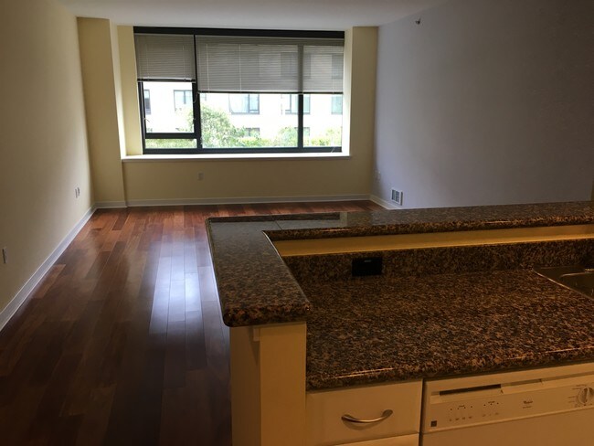 living room - 250 King St