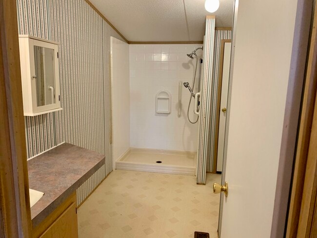 Primary bathroom - 709 Blue Stem Dr