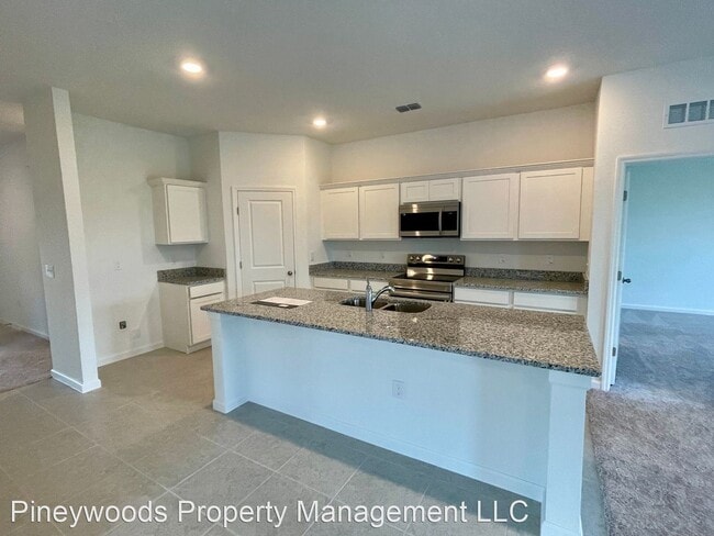 Building Photo - 4 br, 2 bath House - 2126 Gold Dust Drive
