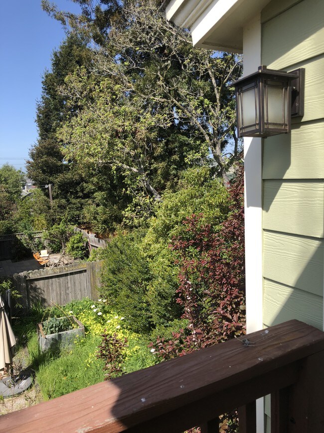 Building Photo - 1627 Francisco St