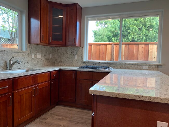Brand new kitchen, luxury appliances, new cabinets and lots of storage. - 463 Rosewood Ave