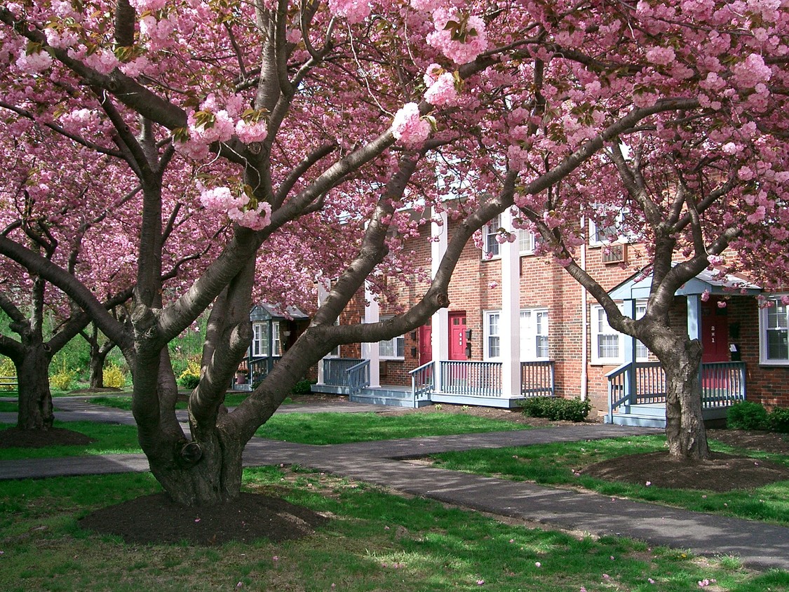 Foto del edificio - Lawrenceville Gardens