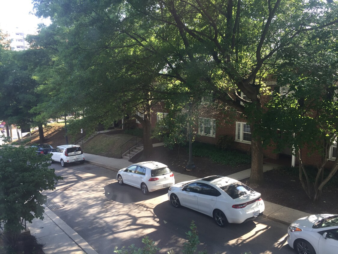 View from front window - 8307 Draper Ln