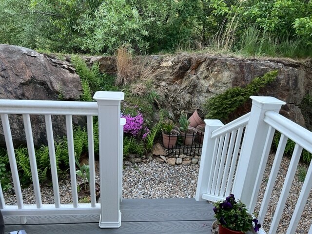 Backyard Deck - 128 Parker St