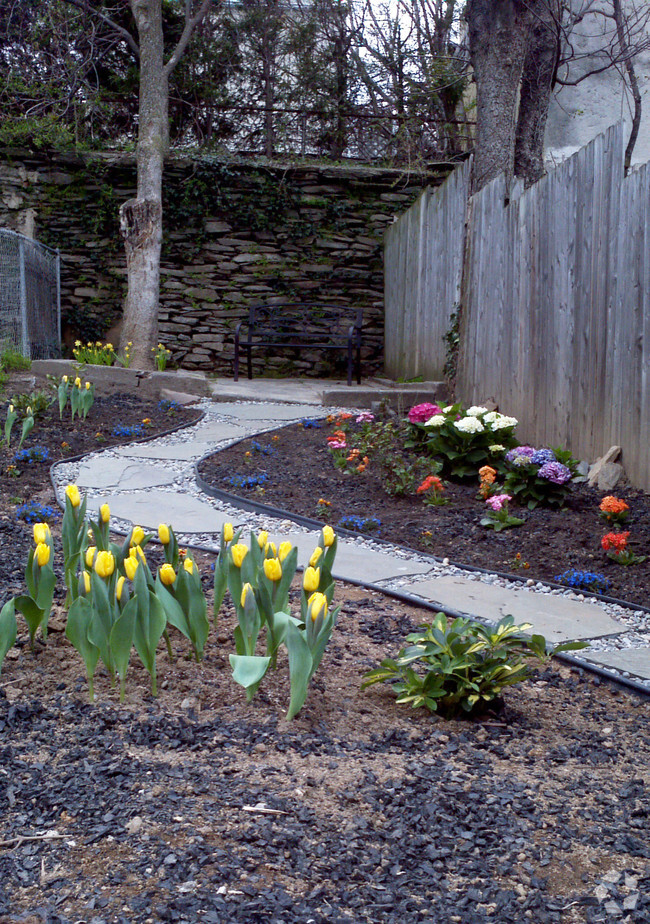 landscaped yard - 218 E Elm St