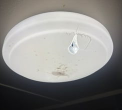 Building Photo - 20048 Ada Ln