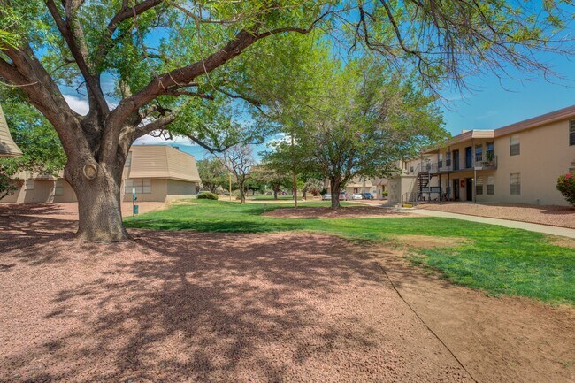 Foto del edificio - Paso Norte Apartments