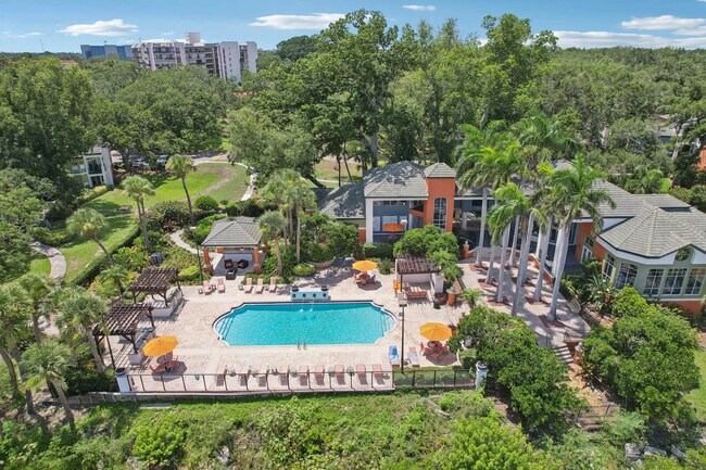 Foto del edificio - Bayside Arbors of Clearwater