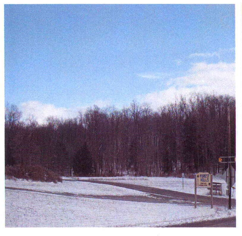 6753 Route 59, Lewis Run, PA 16738 Apartments in Lewis Run, PA