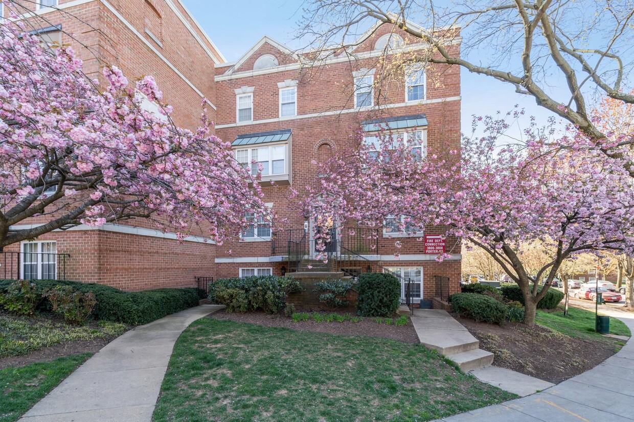 3808 Porter St NW, Washington, DC 20016 House Rental in Washington