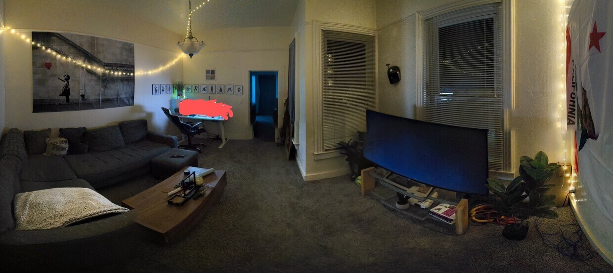livingroom - 519 U St