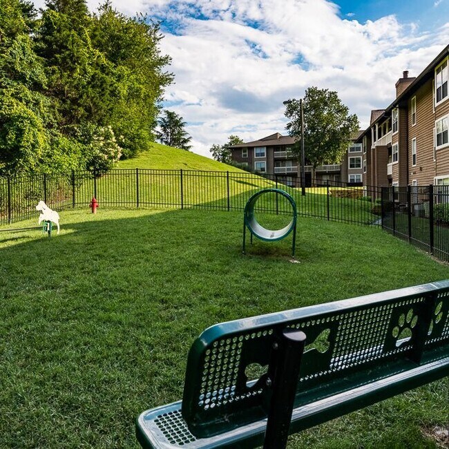 Forest at Chasewood Apartments Charlotte, NC