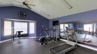 This fitness room offers a focused and functional workout environment designed to support an active lifestyle. The space is defined by striking navy blue accent walls that create an energizing atmosphere, complemented by crisp white vaulted ceilings that lend a sense of openness and airiness. A ceiling fan is centrally mounted, providing airflow during workouts. Natural light filters in through windows fitted with blinds, brightening the space without creating glare. The room is equipped with key cardio machines, including a treadmill and an elliptical trainer, alongside a wall-mounted flat-screen television for entertainment during exercise sessions. A large framed mirror spans a significant portion of one wall, visually expanding the space and allowing users to monitor their form. Rubberized flooring covers the entire room, providing cushioning and traction suited to physical activity. A decorative wall clock adds a practical touch, while the overall layout ensures sufficient space to move freely between equipment. The combination of thoughtful design elements and practical fitness amenities makes this room a well-rounded and inviting space for daily exercise.