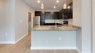 Located at 115 Great Lawn Dr in Summerville, South Carolina, this single-story home offers a clean, modern aesthetic throughout its well-appointed layout. The open-concept living and kitchen area serves as the heart of the home, featuring light wood-look flooring, neutral gray walls, and a ceiling fan that enhances airflow and comfort. A spacious kitchen anchors the space with rich dark cabinetry, granite countertops, a subway tile backsplash, stainless steel appliances, and a peninsula with pendant lighting overhead — ideal for both everyday cooking and casual entertaining. The bedrooms are finished with plush wall-to-wall carpeting and fitted with window blinds that allow natural light to filter in while maintaining privacy, with views of surrounding greenery. The bathrooms are finished to a high standard, featuring dark vanity cabinetry with granite countertops, light wood-look tile flooring, and a tub-shower combination fully tiled in classic white subway tile with chrome fixtures. The consistent use of neutral tones, modern finishes, and quality materials throughout the home creates a cohesive and inviting atmosphere well-suited to comfortable everyday living.