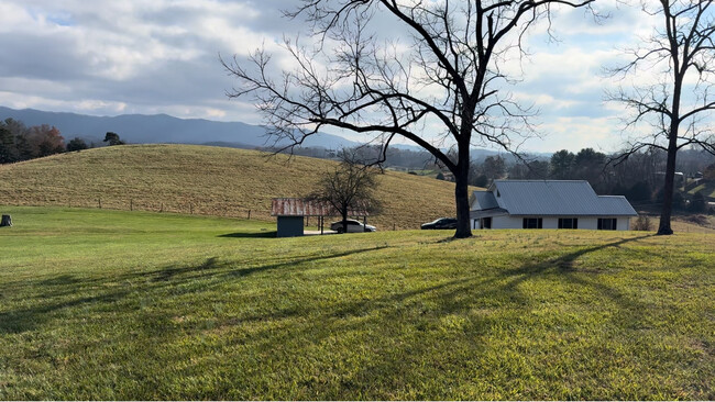 Backyard View - 124 Harrington Hollow Rd