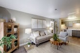 Located at 1201 Harvey Rd in College Station, TX, this one-bedroom, one-bathroom unit offers a thoughtfully designed single-floor layout that maximizes every square foot. The open-concept living, dining, and kitchen area serves as the heart of the home, featuring durable wood-look flooring, neutral gray walls, and a front-facing window that invites abundant natural light. The living space is welcoming and versatile, with room for a full seating arrangement and dining setup. The kitchen is efficiently arranged with gray cabinetry, white countertops, a double-basin sink, an electric range, and a dishwasher — providing all the essentials for everyday cooking. A hallway connects the main living area to the private bedroom, which features plush carpeting, a ceiling fan, a window with outdoor views, and a standout vertical shiplap accent wall that adds character and warmth to the room. The full bathroom includes a tub/shower combo, a vanity with a marble-style countertop, and wood-look flooring that ties in cohesively with the rest of the unit. Three closets throughout the unit offer generous storage options. The overall aesthetic is clean, modern, and neutral, creating a comfortable and functional living environment.