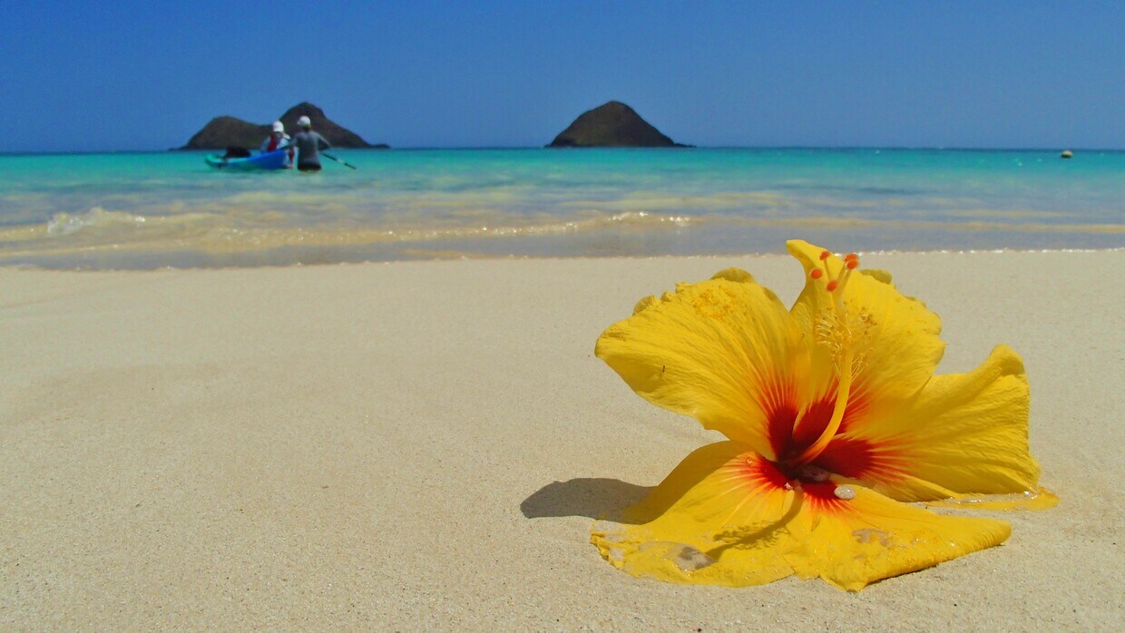 Foto principal - 214 Kailua Rd