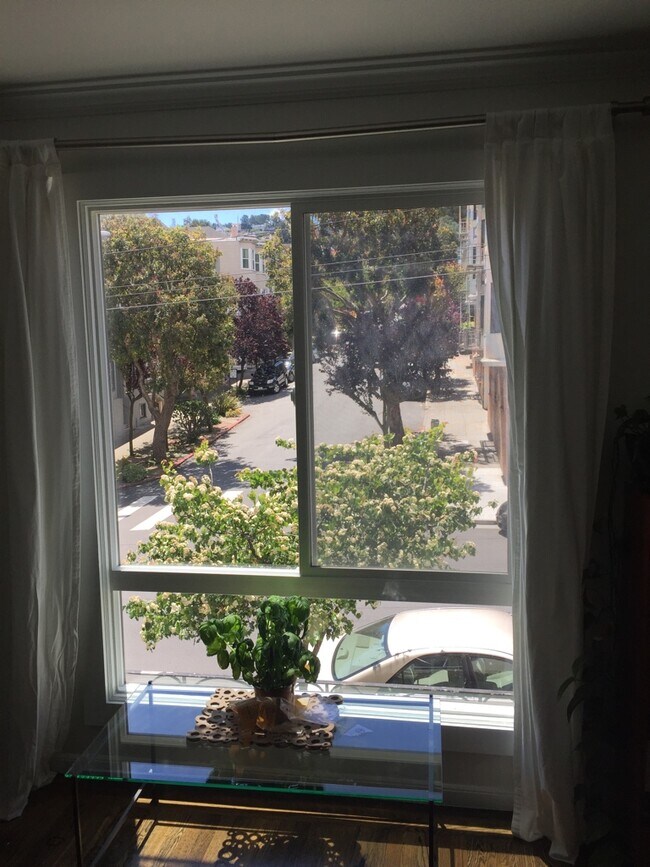 Foto del edificio - 264 Parnassus Ave