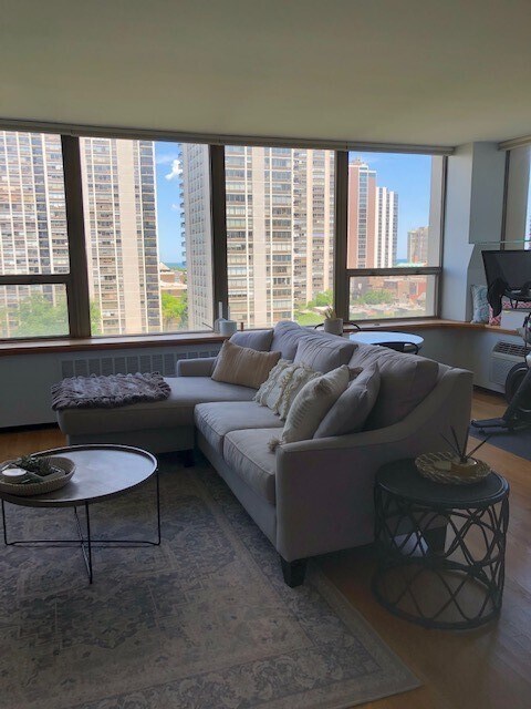 Foto del edificio - 1360 N Sandburg Terrace